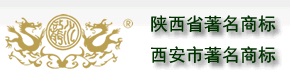 西安神龙制药